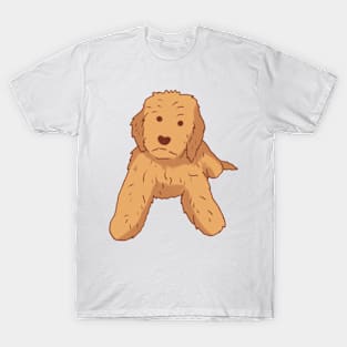 Golden doodle dog sitting T-Shirt